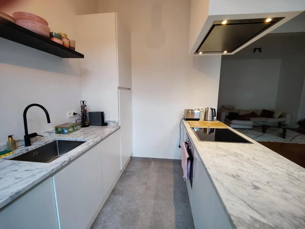Traditional Chic, High Ceilings' Apt Aircos And Garage Antwerp