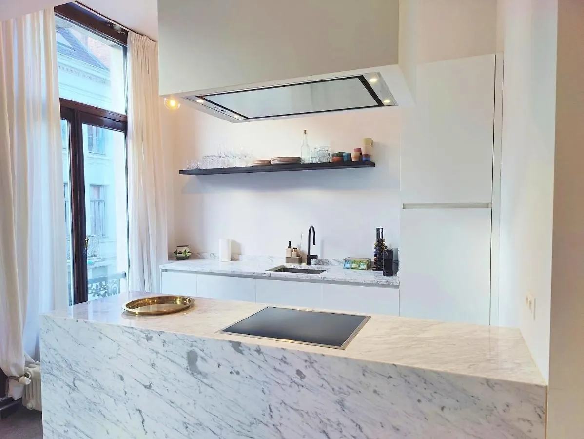 Traditional Chic, High Ceilings' Apt Aircos And Garage Antwerp Belgium